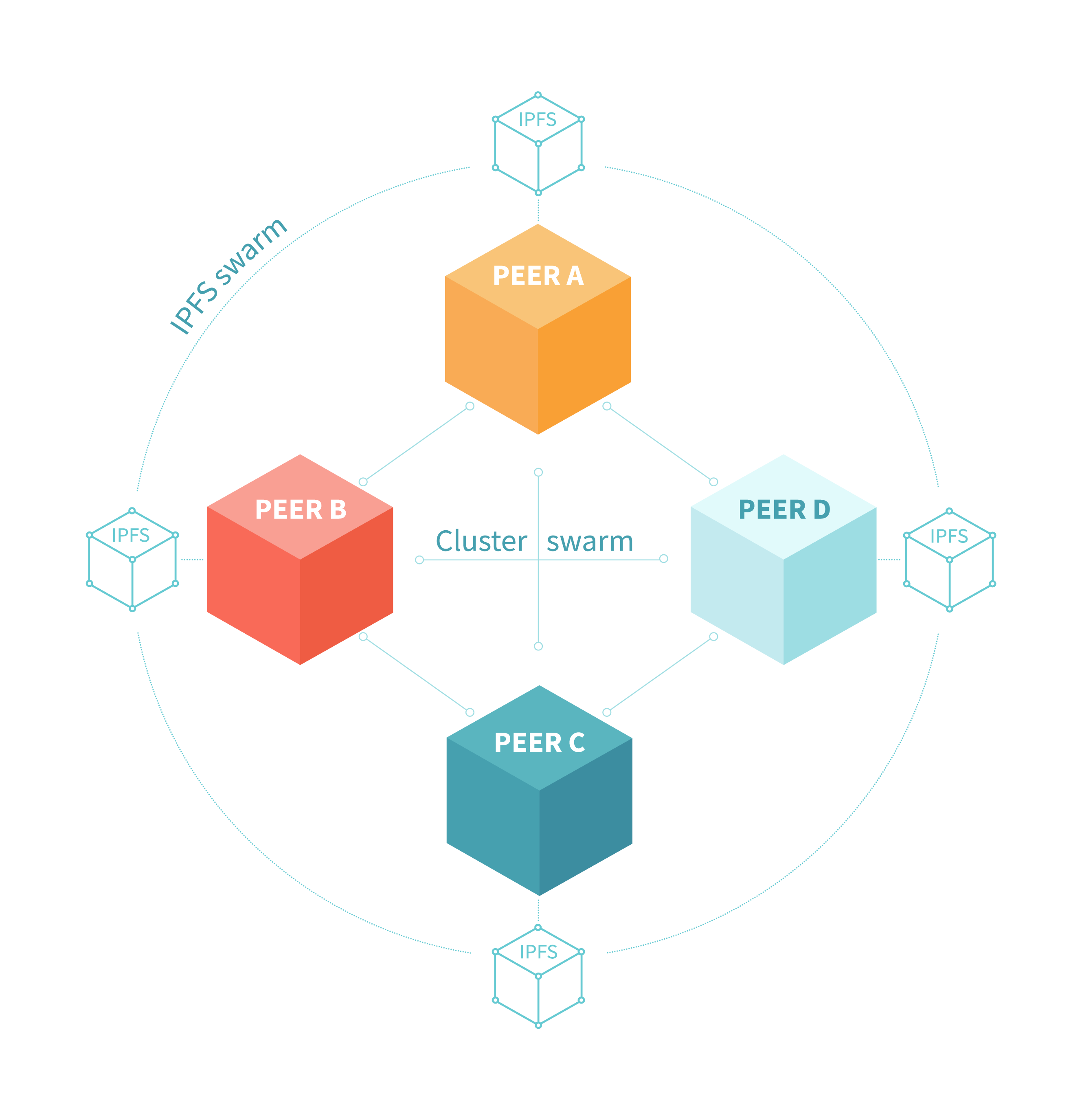 A typical IPFS Cluster
